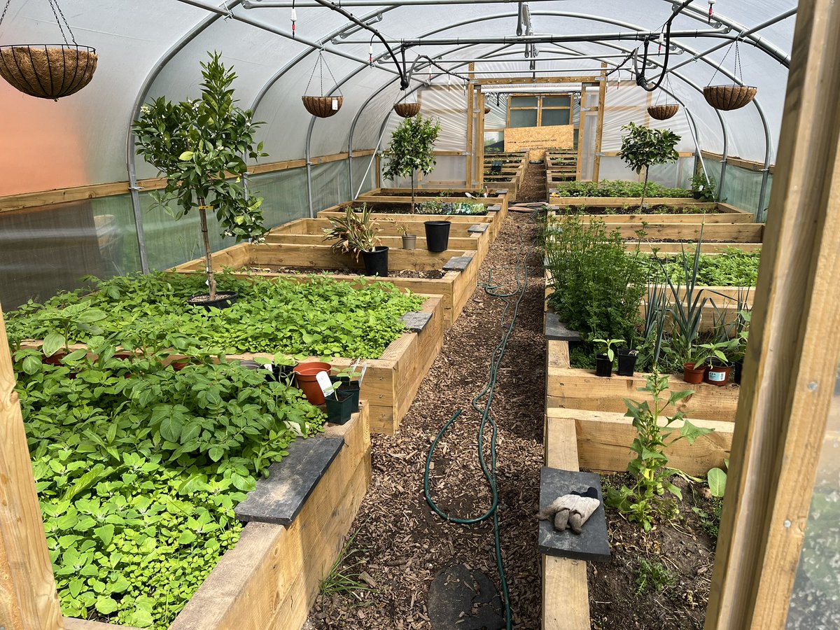 JessJen_'s tweet image. Nice to see the progress of the poly-tunnels today @CATCHLeeds built and looked after by young people. Not forgetting a little visit to see the growing heard of goats 🐐😄 @wy_vru