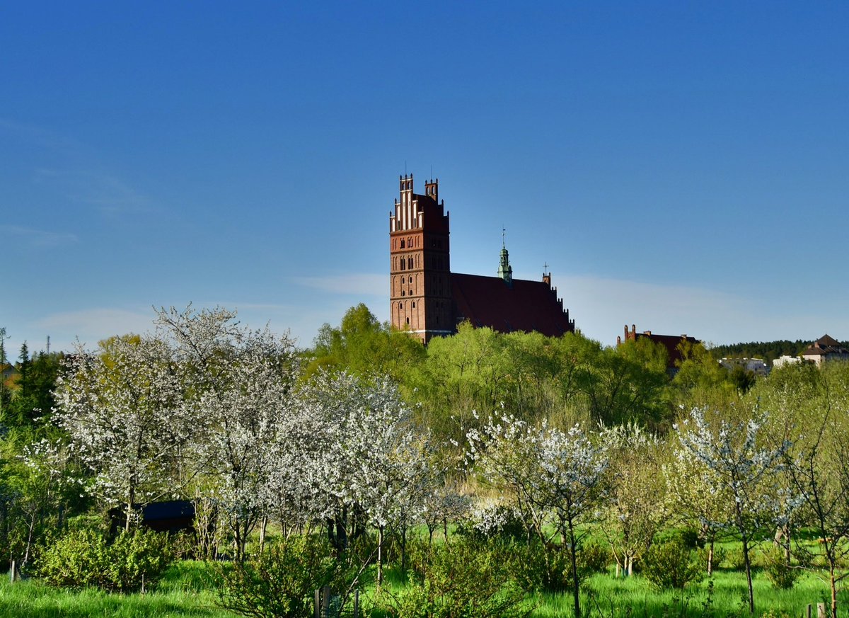 visitwarmia's tweet photo. Właśnie tak wygląda Dobre Miasto wiosną.
#warmia #pocztowkazpolski #church #ghotic #castle #cittaslow #dobremiasto #miasto #city #town #architecture #instapic #visitpoland #visitwarmia #polskanaweekend #cittaslow #cittaslowinternational #incrediblesky #clouds  #spring #wiosna https://t.co/YMoGGHnbrV