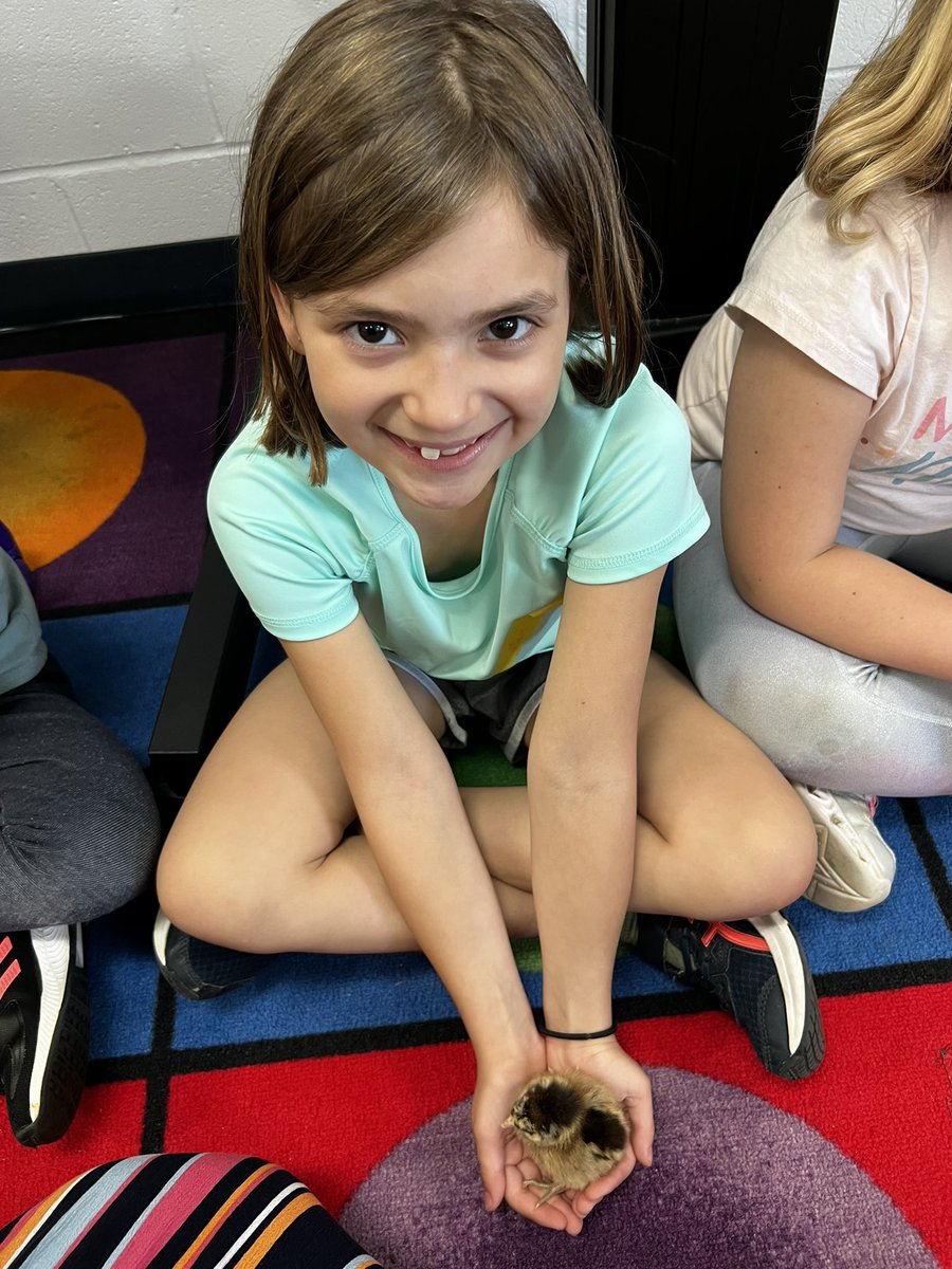 MsWarnerTeaches's tweet photo. All smiles today as we named the hatched chicks and even got to hold them! 🥰 @midgleyDIS @Discovery_elem https://t.co/11qJm9tGP9