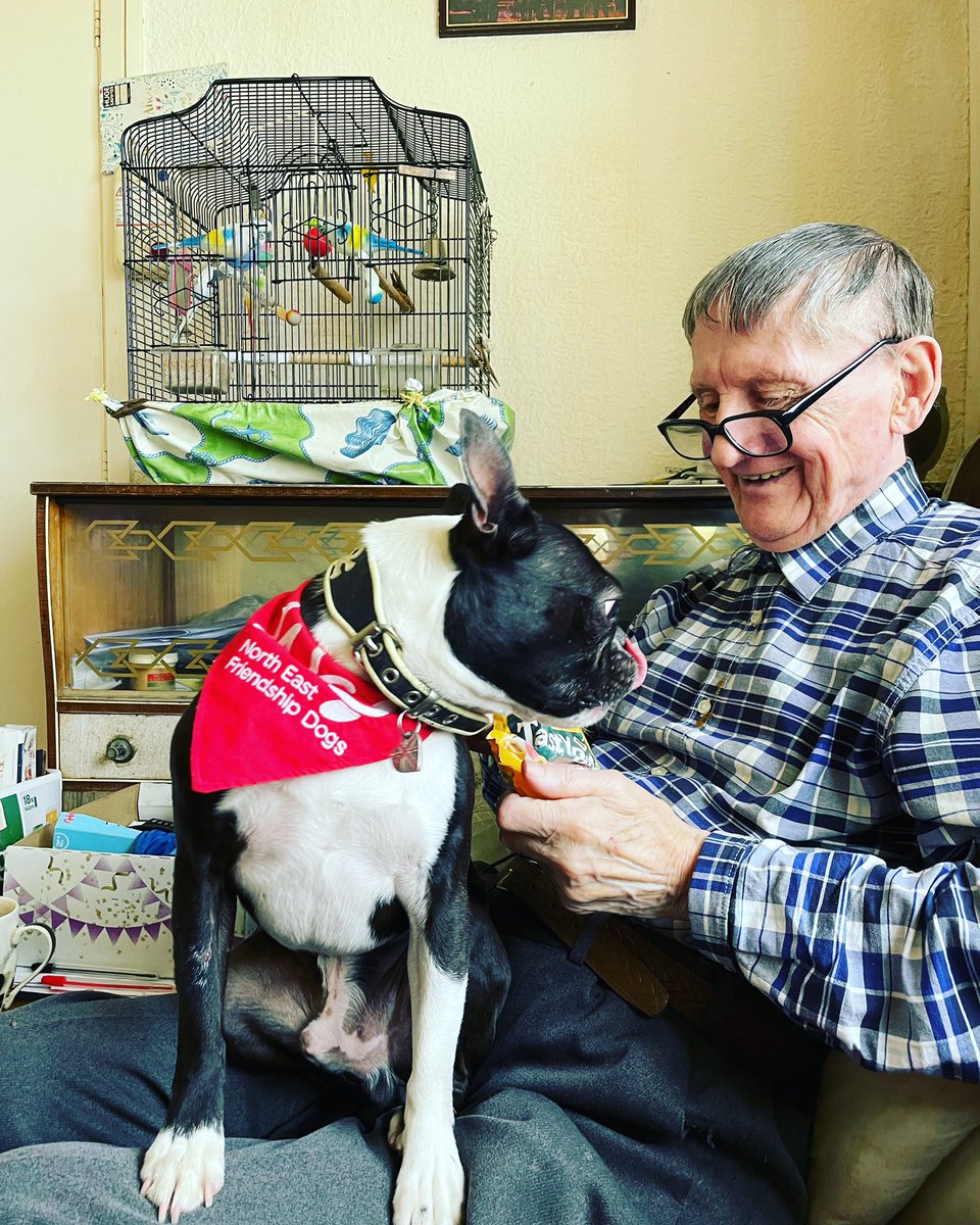 BeckyGrainger6's tweet photo. I can’t tell you how much I love doing pet therapy for @wag_company to help this truly lovely gentleman with extreme loneliness. Hugo makes his day and we love our weekly visits. Pet therapy rocks ❤️🐾#pettherapy #bostonterriers #love #endlonliness #pedigree #schmakos https://t.co/jq139fvN1Y