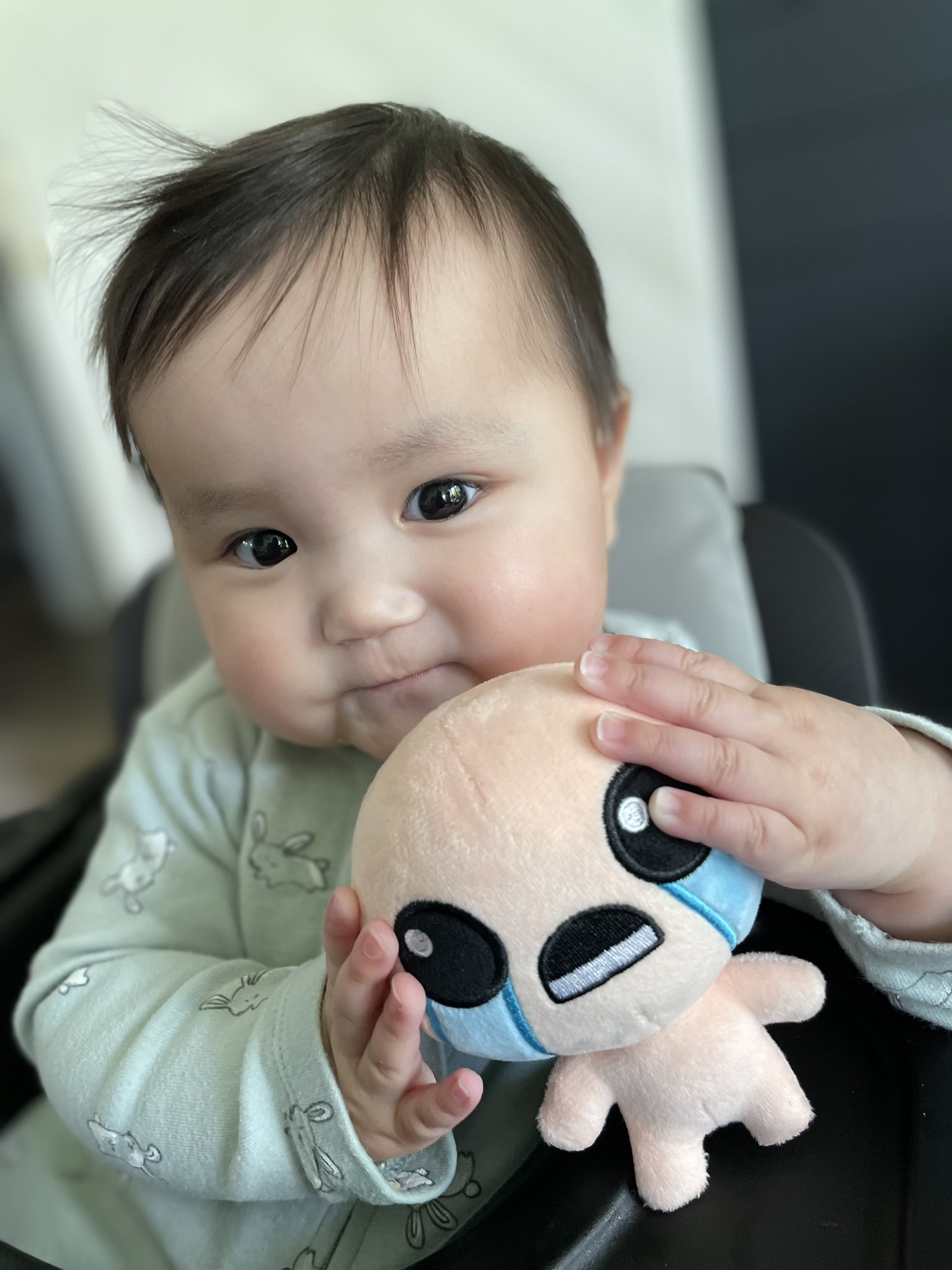 Tboi plush sales