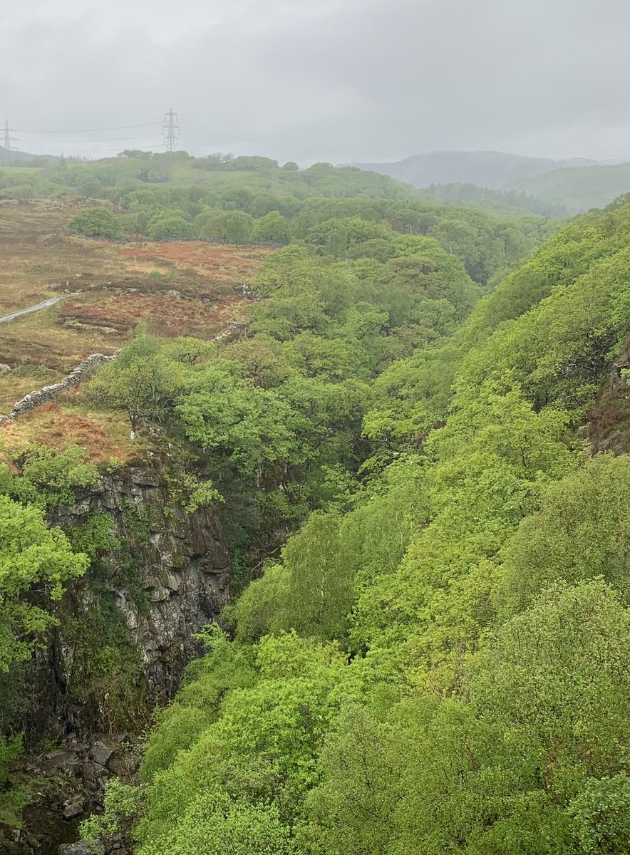 Alistair Maltby tweet media