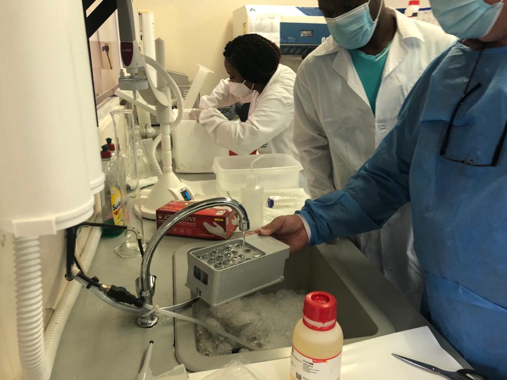 genmoz_project's tweet photo. Busy week at the @Manhica_CISM malaria genomics lab, with the installation of MiSeq system and intensive training by @illumina &amp; Quilaban-Portugal. One step closer to data generation https://t.co/F9IeXonFxy