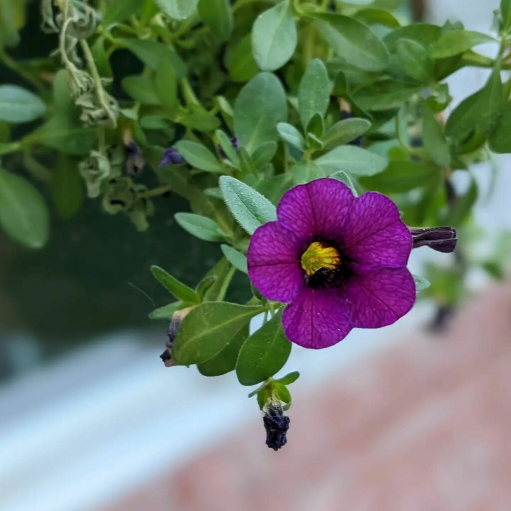 instagr.am/p/Cdb8VfTr7pO/