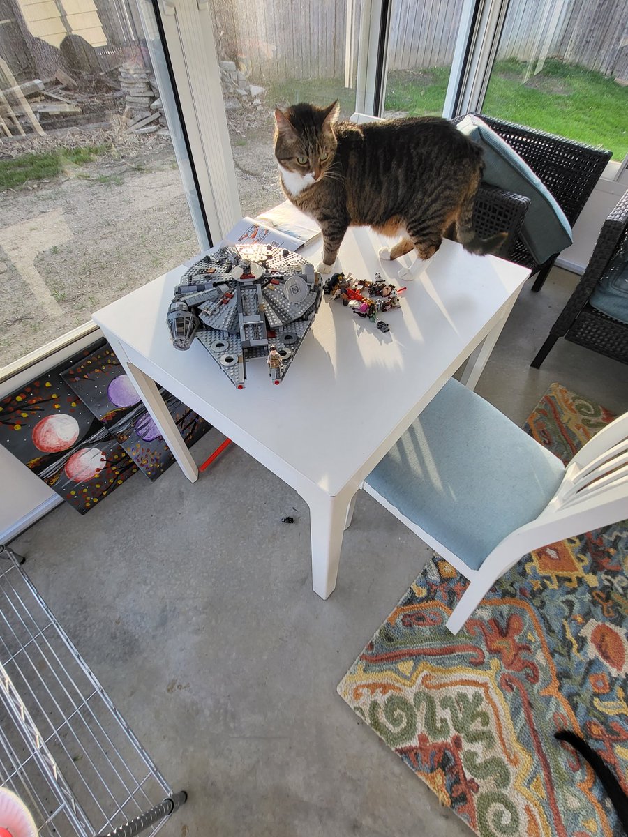 DionneKapp76's tweet image. Out of all the Lego figures that live on this table, it is always the Madalorian that the cats take down?  What the hell did @PedroPascal1 do to elicit such ire from my sweet Max? 😻 #catsofstarwars #LEGO #LEGOStarWarsGame #Mandalorian