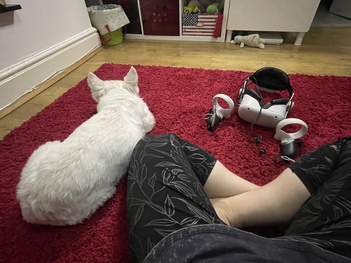 Just finished a fitness session on the vr, Kero decided to join me for a rest. Bless him. #vr #vrfit #oculusquest2 #kero #rest