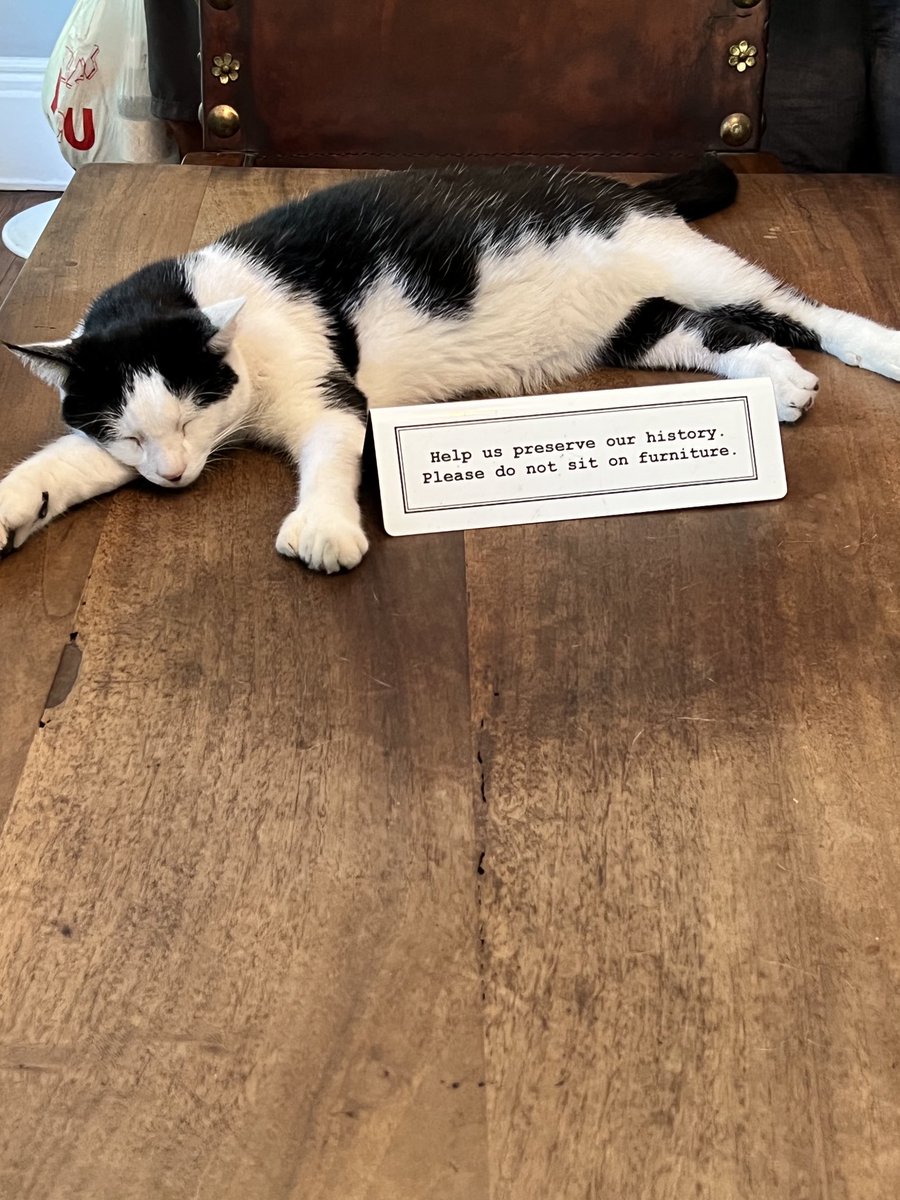 djrwilliams's tweet photo. Can’t he read? Spotted on antique table in Ernest Hemingway’s former home in Key West. Yes, he’s real, & breathing. @thefloridakeys #hemingwayhome https://t.co/RDRs6X5ihq