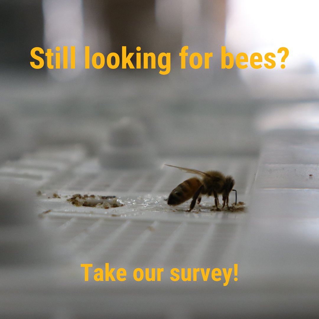 mannlake's tweet image. Are you still looking for bees? 🐝 We are working with our supplier to possibly provide a late-season ship date!

Take our quick survey: ow.ly/RqgM50J5KuR

#mannlake #packagebees #honeybees #survey