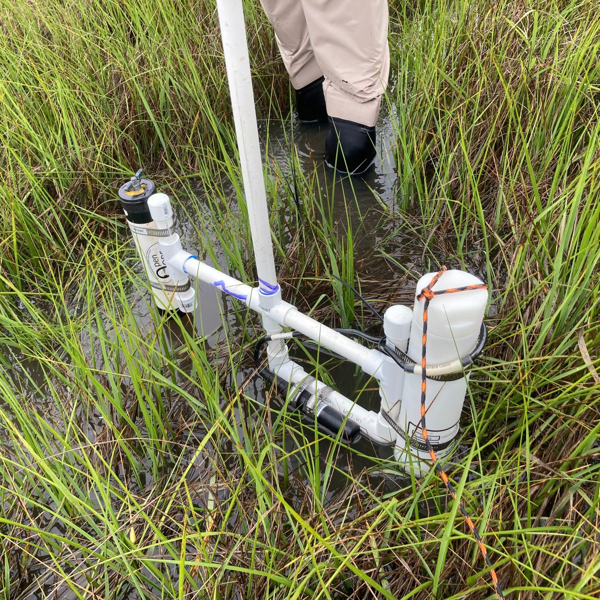 On a windy day in May, the <a href="/AntonioBRodrig/">Antonio B Rodriguez</a> Lab field season commences. Cue Muddy Waters
