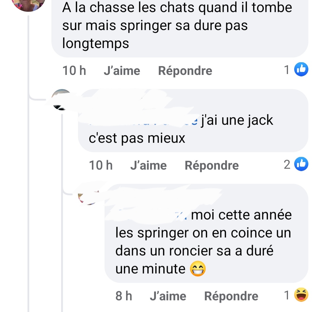 hibiscus611's tweet photo. L horreur.. des détails sordides de chasseurs se vantant de leur manière de tuer des chats "nuisibles" selon eux.Attention a vos chats :( @onevoiceanimal @ASPASnature @unjour1chasseur @RurauxC @HenryJeanServat @PartiAnimaliste @AnimauxInsoumis @EelvAnimaux @CaccContact https://t.co/xuSd8ZsbZS