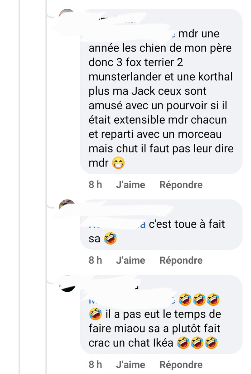 hibiscus611's tweet photo. L horreur.. des détails sordides de chasseurs se vantant de leur manière de tuer des chats "nuisibles" selon eux.Attention a vos chats :( @onevoiceanimal @ASPASnature @unjour1chasseur @RurauxC @HenryJeanServat @PartiAnimaliste @AnimauxInsoumis @EelvAnimaux @CaccContact https://t.co/xuSd8ZsbZS