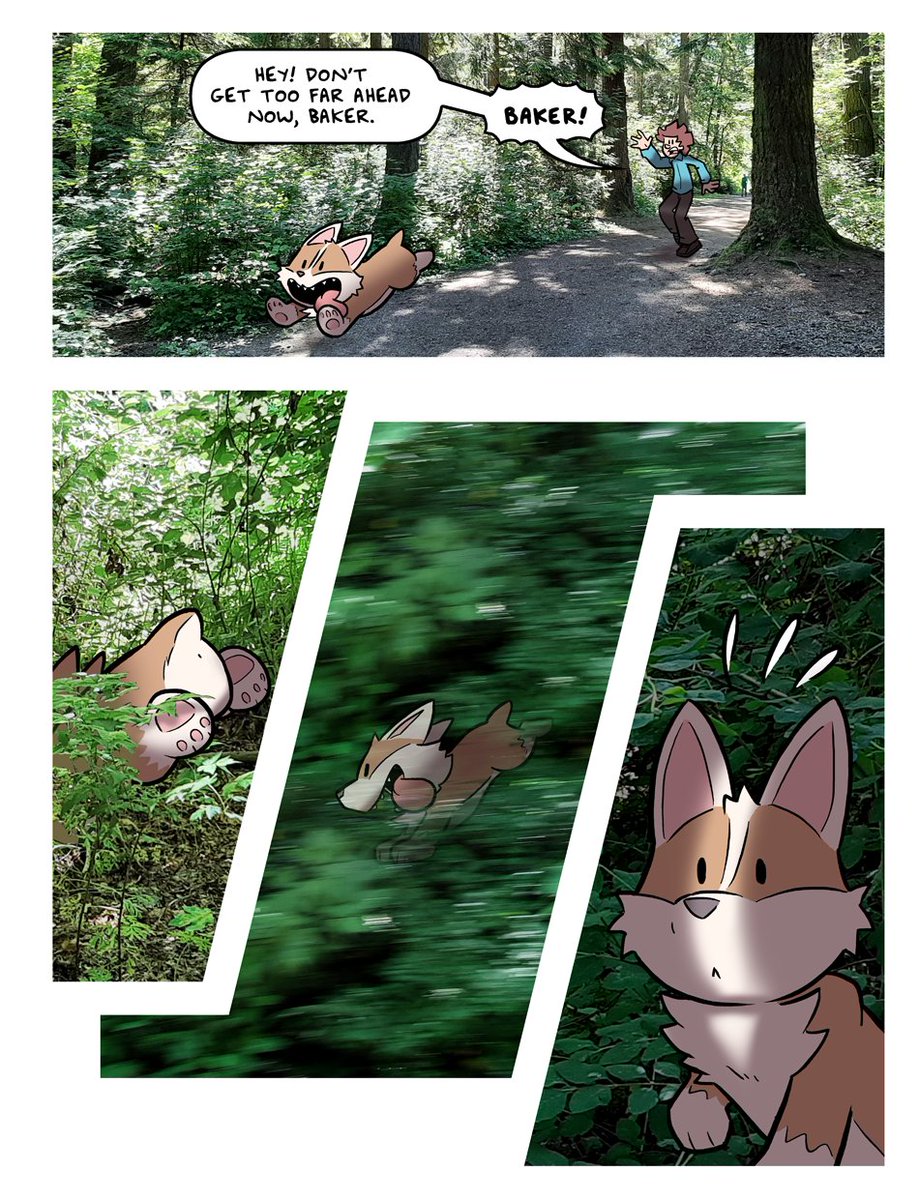 If you wanna see more cartoon/photo hybrid corgi comics, there's a whole little story in this style over on my website!
https://t.co/pV9VNaHgNb