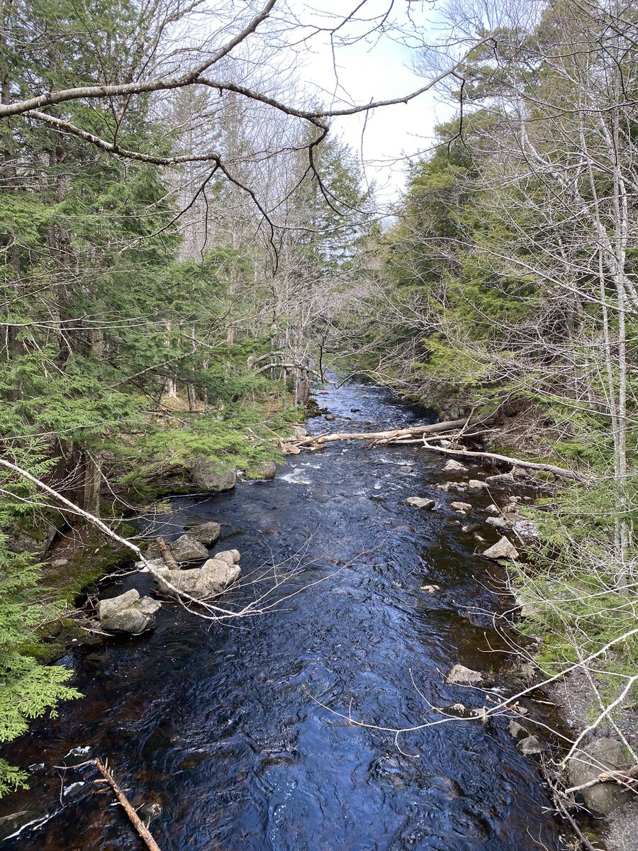 Thrilled to have taken these kids to Crystal Falls today! The first time ever hiking for two of them… ☀️<a href="/PRMSPanthers/">Pine Ridge Panthers</a> <a href="/AVRCE_NS/">Annapolis Valley Regional Centre for Education</a> #grade6 #outdoored #proud