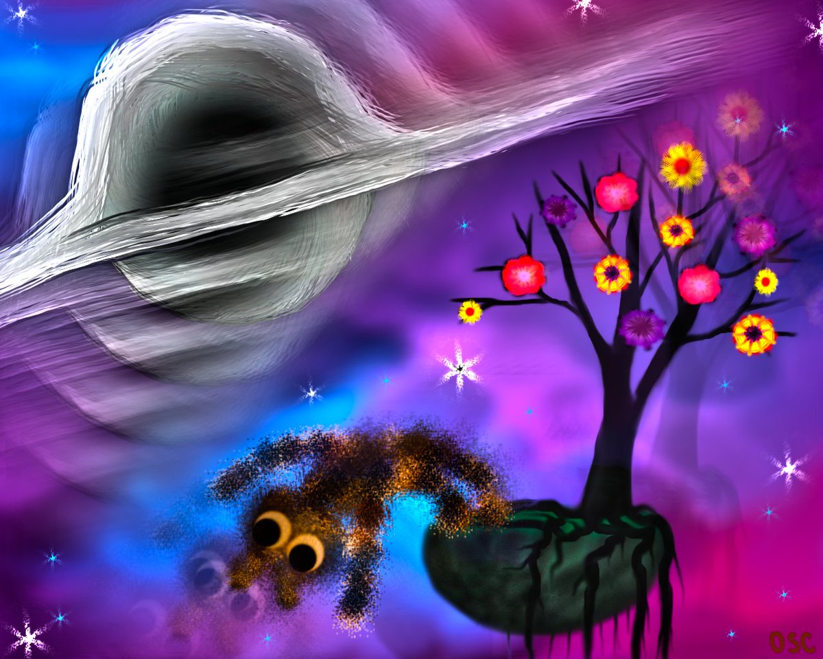 Old School Cats (OSC) tweet media