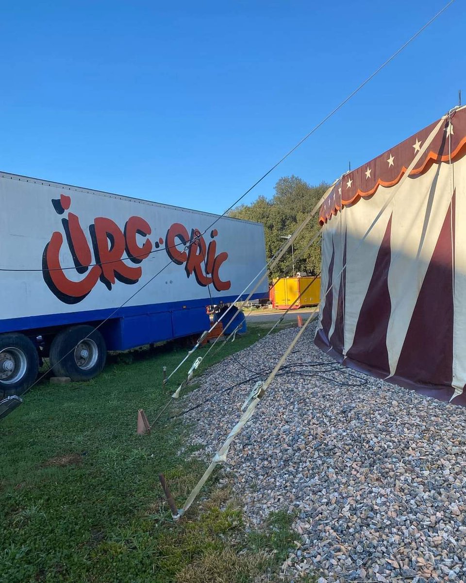 soniaphoto74's tweet photo. #Gentgran de #lesFranqueses, encara queden places per l'excursió al Circ Cric del proper 24 de maig. Us podeu inscriure aquest dijous 12 i divendres 13 al SAC de l'Ajuntament.
#GentGran #BonsMoments #Riures #SortidaCultural #CircCric #SomDeLesFranqueses #jxlf https://t.co/koEoYDn9Xe