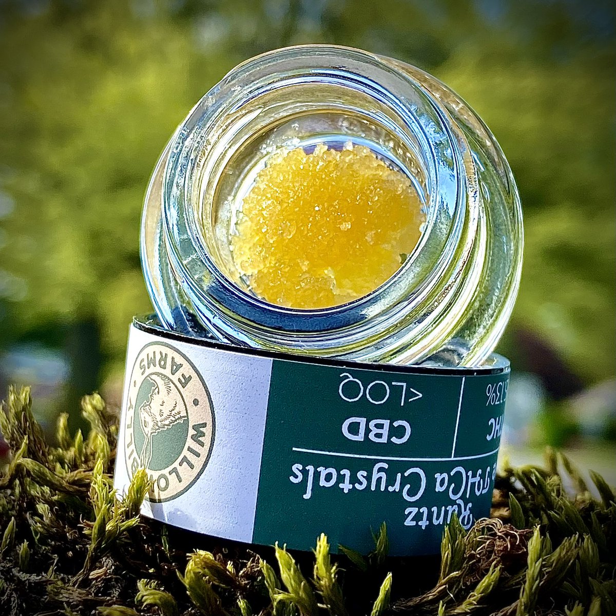 Artifact Extracts tweet media