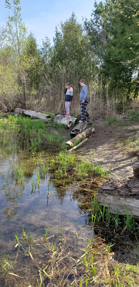 onedaywithNan's tweet photo. Good day to explore a #wetland @RougePark 😎🌞

#kidlets #onedaywithnan #homeschooling https://t.co/xYQxA0gwgW