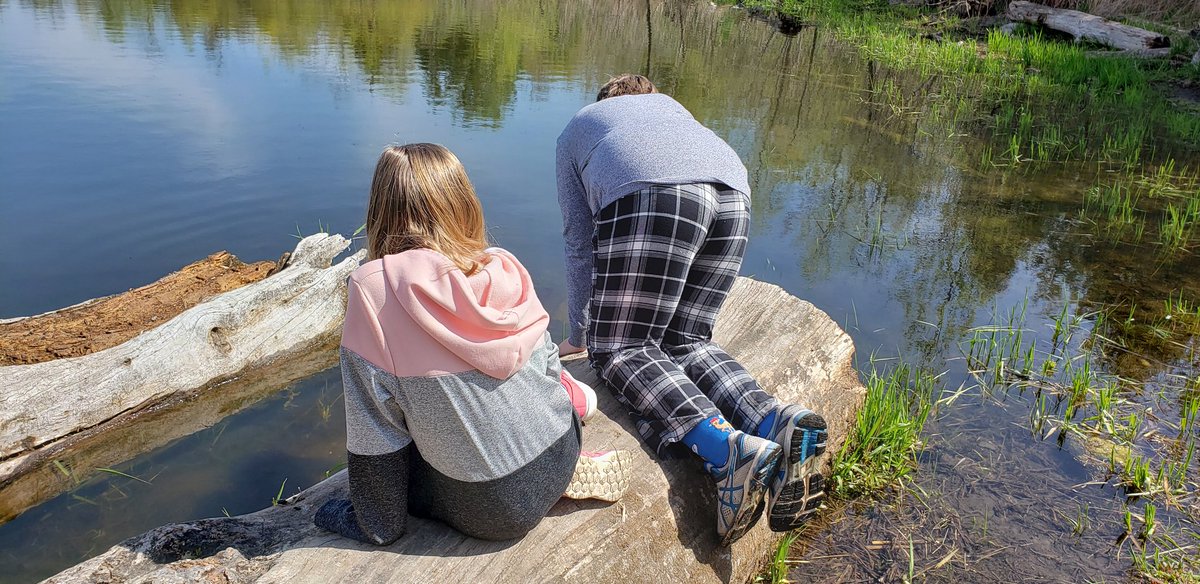 onedaywithNan's tweet photo. Good day to explore a #wetland @RougePark 😎🌞

#kidlets #onedaywithnan #homeschooling https://t.co/xYQxA0gwgW