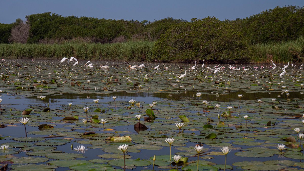 VisitAcapulco tweet media