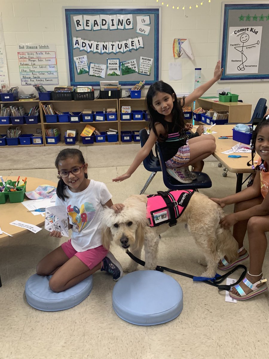 MECC_Counselor2's tweet photo. Shiner had a busy day “supervising” during #classroomcounselorlessons. He made sure everyone was getting the steps down for peaceful conflict resolution! #ShinerLove #MVPs #MostValuablePups #SEL ##SchoolCounselor #CometWellness @MrsBly_MECC @MasonSchools https://t.co/oPBiSzHHFv