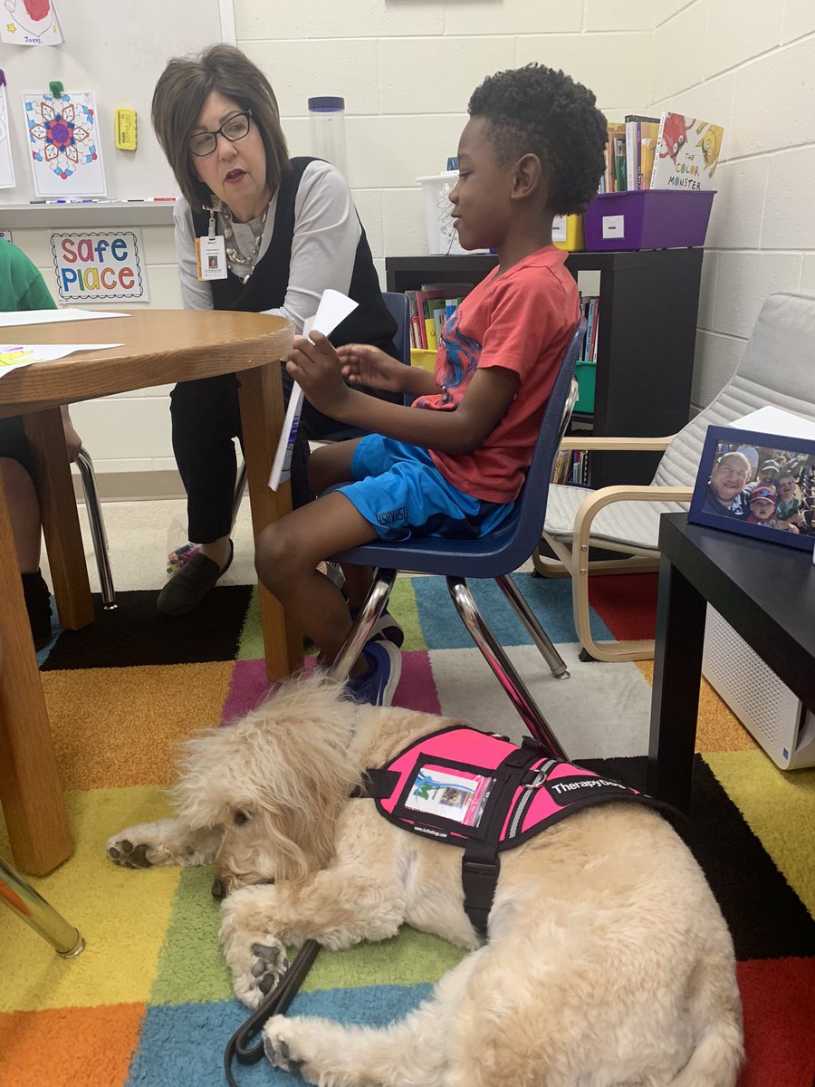 MECC_Counselor2's tweet photo. Shiner had a busy day “supervising” during #classroomcounselorlessons. He made sure everyone was getting the steps down for peaceful conflict resolution! #ShinerLove #MVPs #MostValuablePups #SEL ##SchoolCounselor #CometWellness @MrsBly_MECC @MasonSchools https://t.co/oPBiSzHHFv