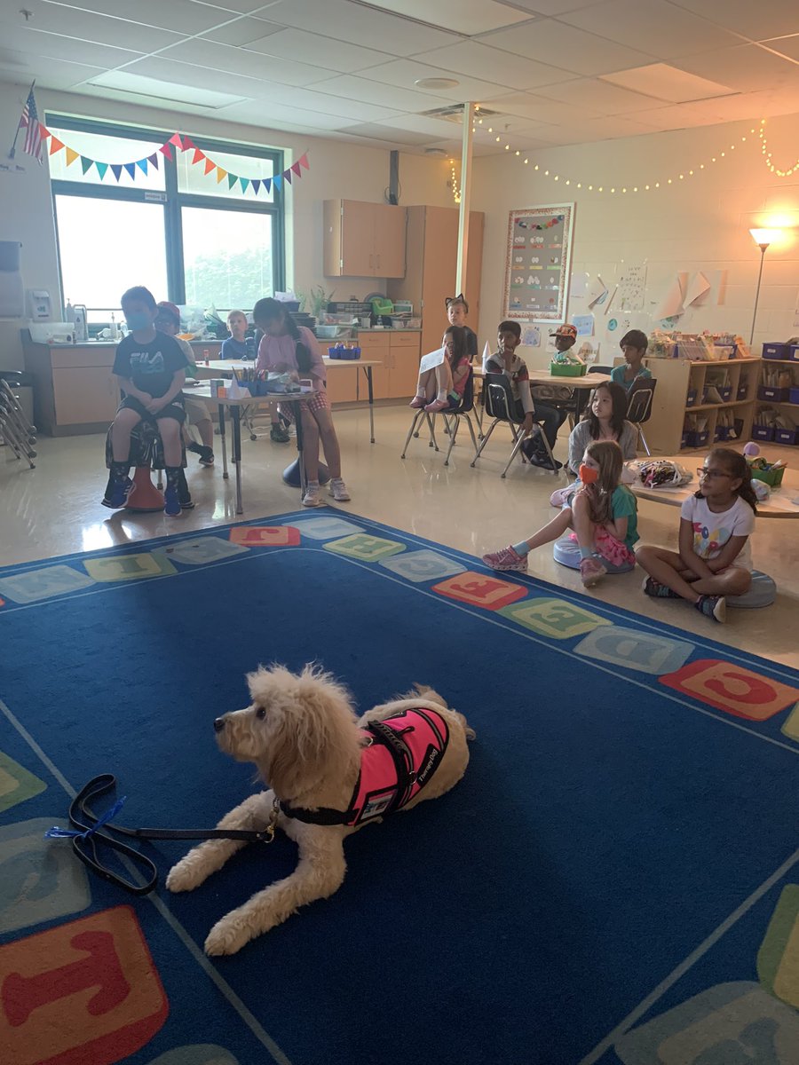 MECC_Counselor2's tweet photo. Shiner had a busy day “supervising” during #classroomcounselorlessons. He made sure everyone was getting the steps down for peaceful conflict resolution! #ShinerLove #MVPs #MostValuablePups #SEL ##SchoolCounselor #CometWellness @MrsBly_MECC @MasonSchools https://t.co/oPBiSzHHFv