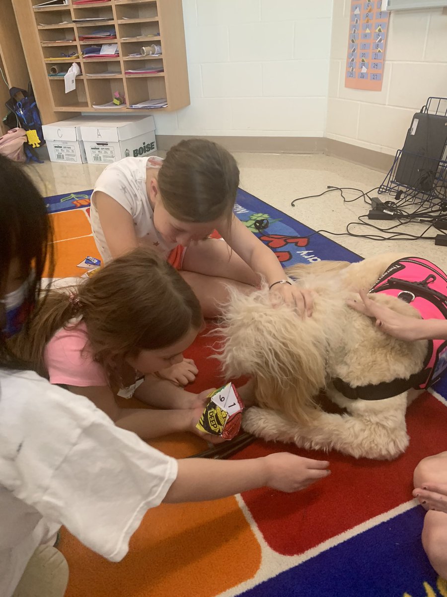 MECC_Counselor2's tweet photo. Shiner had a busy day “supervising” during #classroomcounselorlessons. He made sure everyone was getting the steps down for peaceful conflict resolution! #ShinerLove #MVPs #MostValuablePups #SEL ##SchoolCounselor #CometWellness @MrsBly_MECC @MasonSchools https://t.co/oPBiSzHHFv