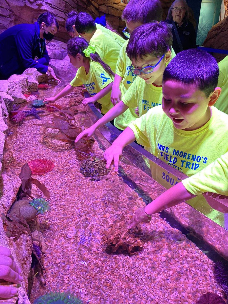 Field trip to Sea Life Aquarium! #firstgradefun <a href="/McQueeneyESISD/">McQueeney Elementary</a>