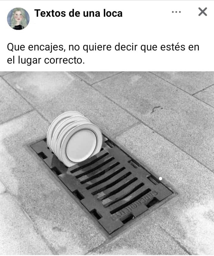 marcakaa's tweet photo. No hay que encajar en un mundo enfermo https://t.co/7Mqhxgpl0r