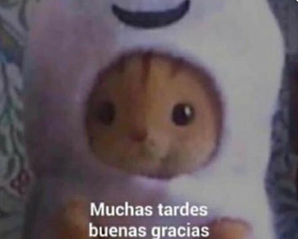 heyitsch4os's tweet photo. @ushisqku Segundo: https://t.co/mHcBUepjAK