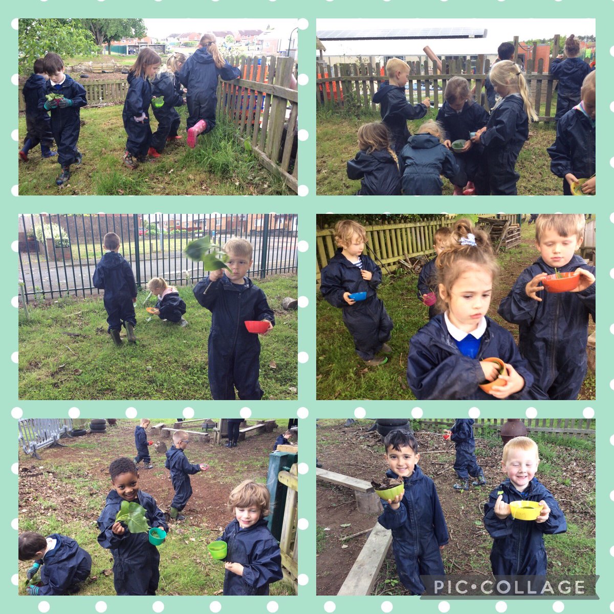 DewstowPrimary's tweet photo. As we are reading ‘The Very Hungry Caterpillar’ in class it was only right that in #forestschool today we went on a caterpillar hunt! We loved looking at the different leaves &amp; collecting them &amp; we even found a caterpillar! 🍃 🐛 https://t.co/cpe3Iu1hSW