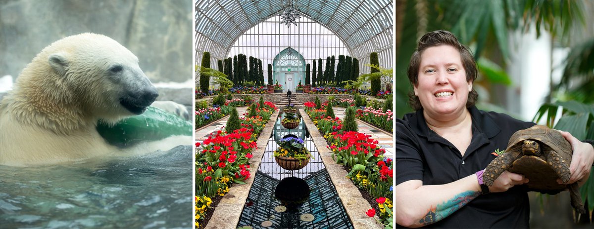 Como Friends tweet media