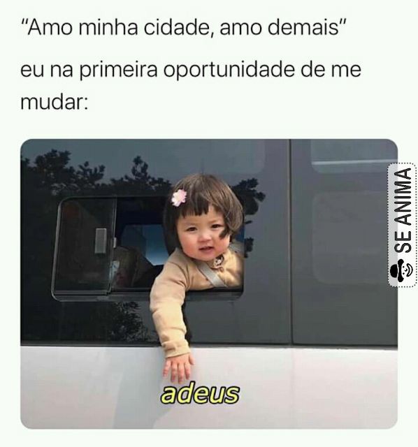 SuzukaMorett's tweet photo. Eu na primeira oportunidade de ir para o Canadá. "Xau cambada" kkkkk https://t.co/zgTHLs5Q6D