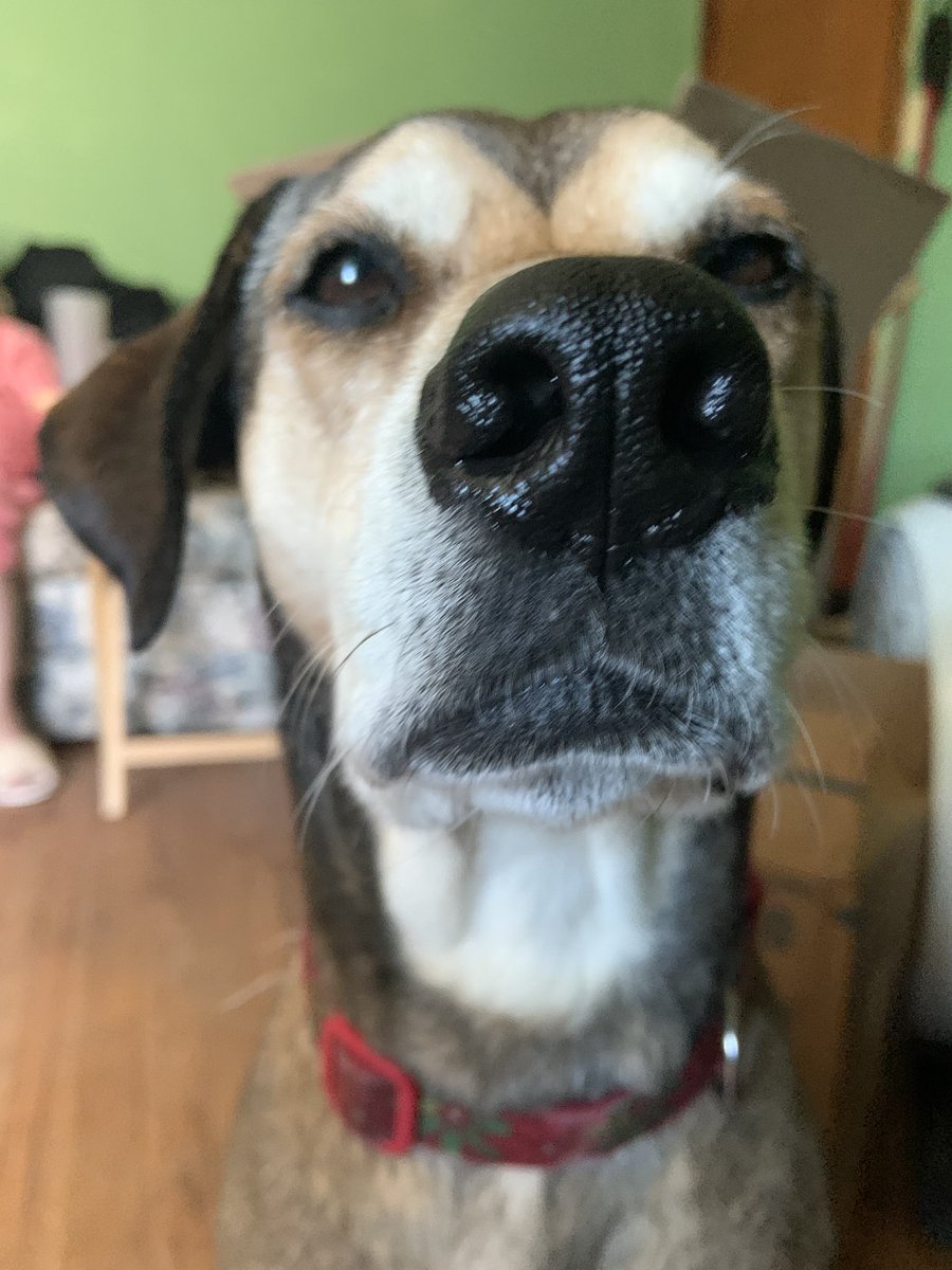 the twins tweet media