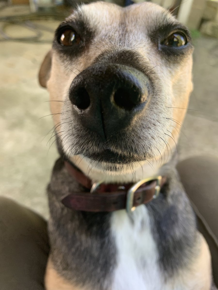 the twins tweet media