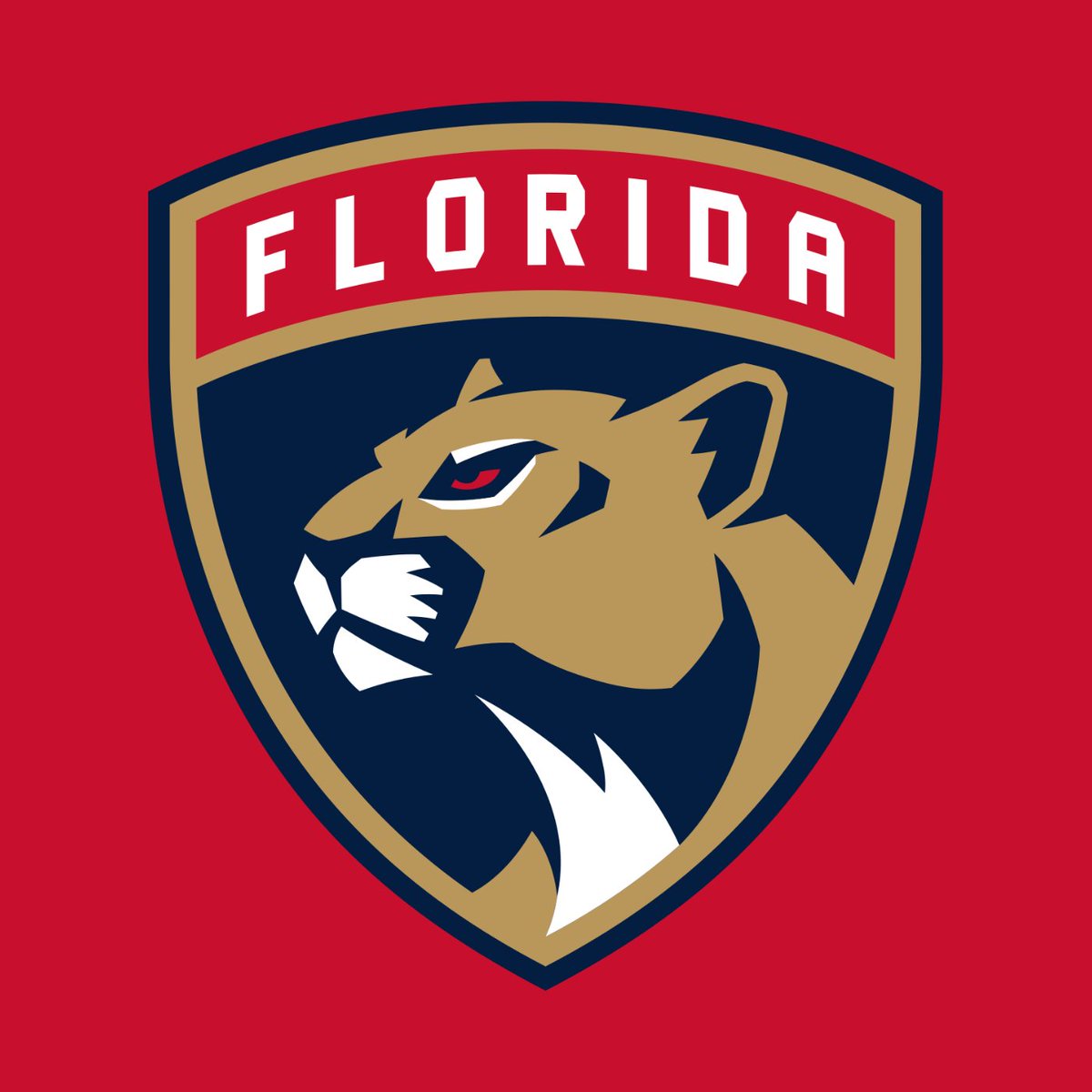 With the 181st overall selection in the NHL Draft, the Florida Panthers are proud to select: Raphael. https://t.co/0y1JbKOr9o