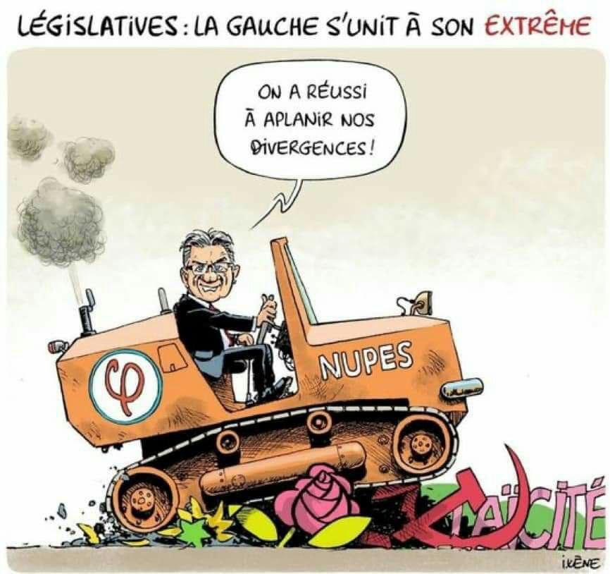 LibresEgaux's tweet photo. https://t.co/qIpRe2F9iZ