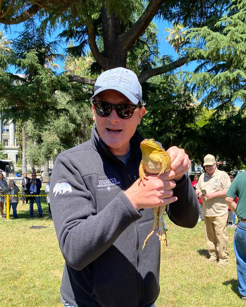 Andreas Borgeas tweet media