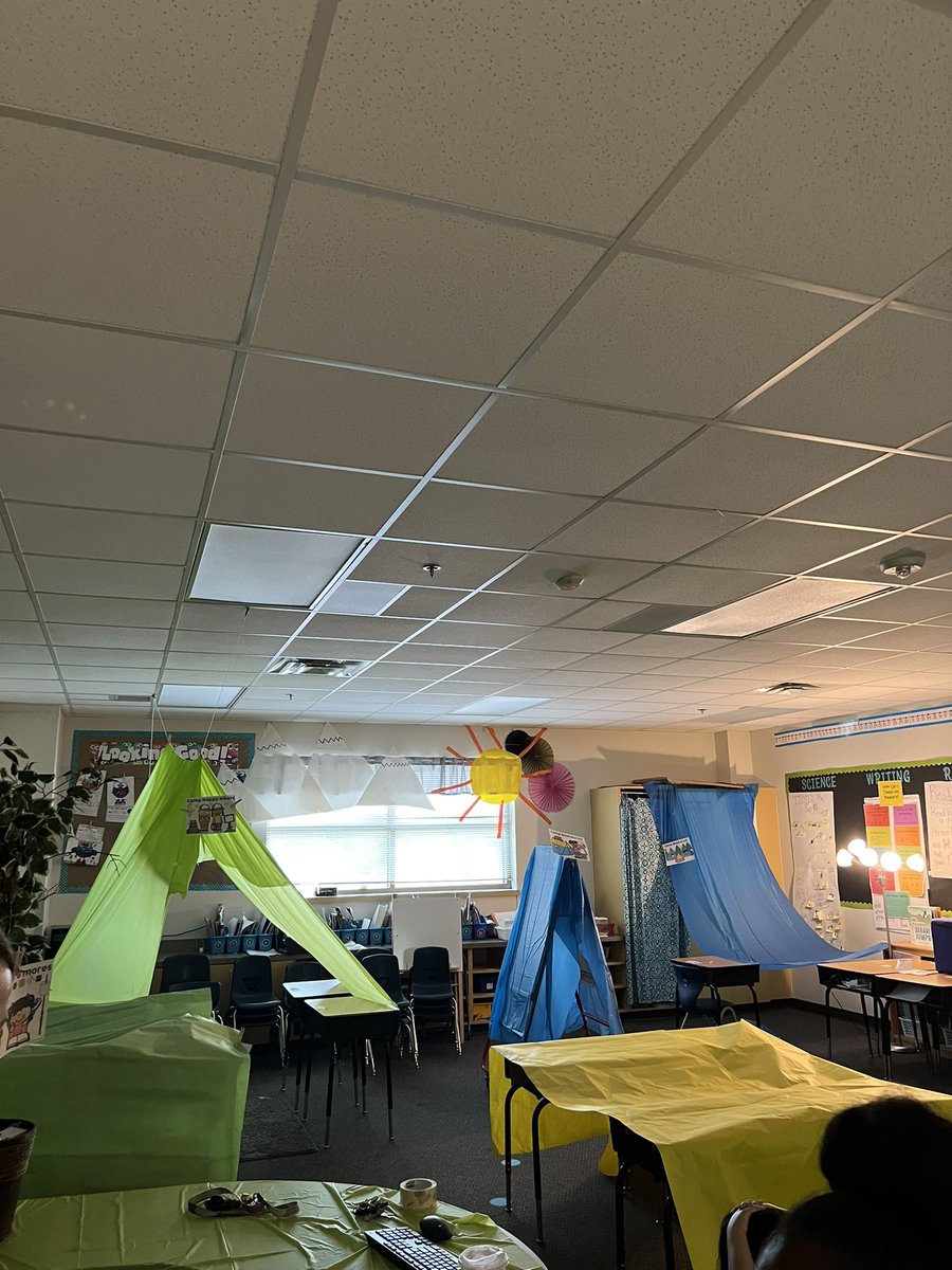 Megan Allard tweet media