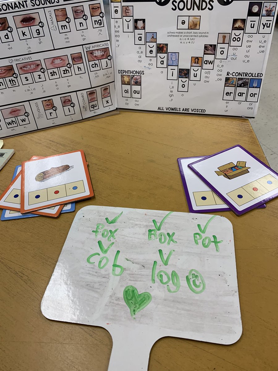 MsDsLearners's tweet photo. ELLs working on their phonemic/ phoneme awareness with sound walls and visual cues @sbt_ycdsb #ELL #ESL https://t.co/Aazj3RelYH