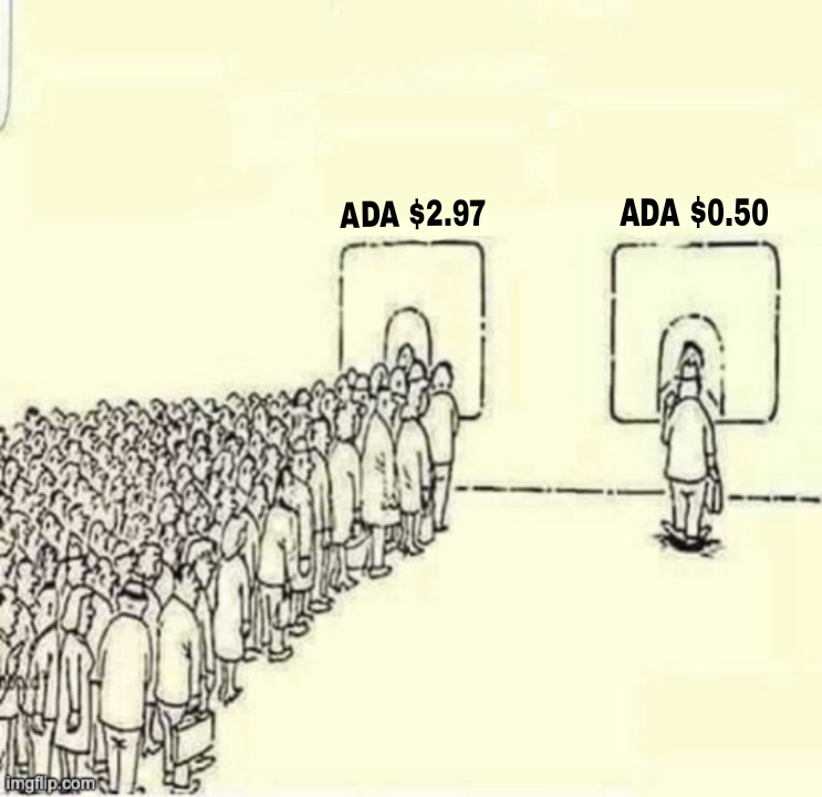 hoskytoken's tweet photo. #cardano #ada $ada #hosky https://t.co/kA3MKbHKyF