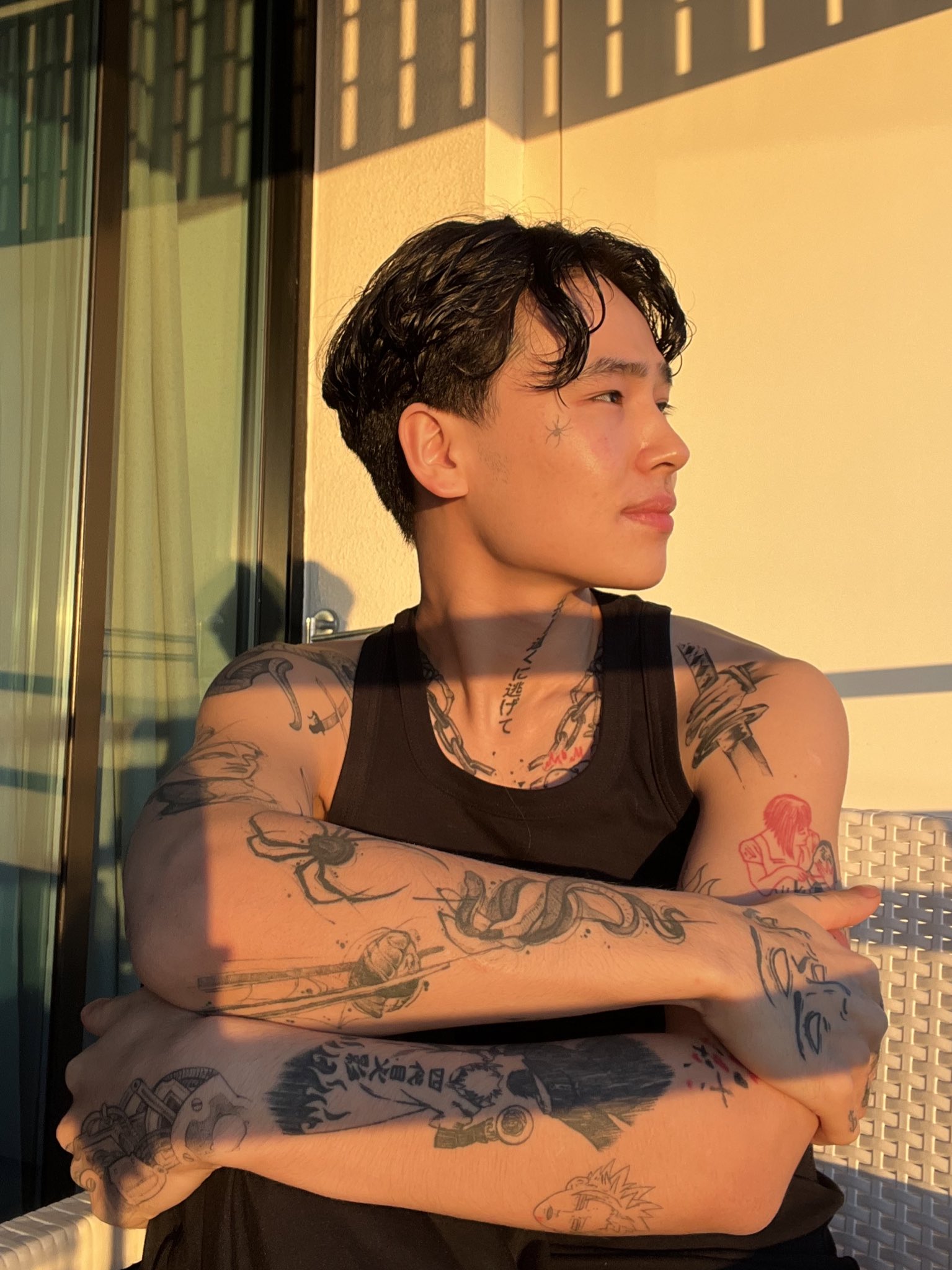 vlad hoshin on Twitter: "solar
