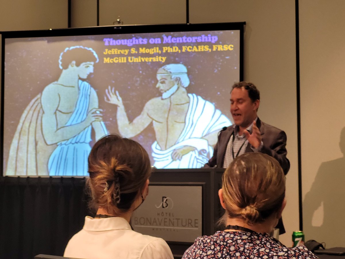 Giulia Mesaroli tweet media