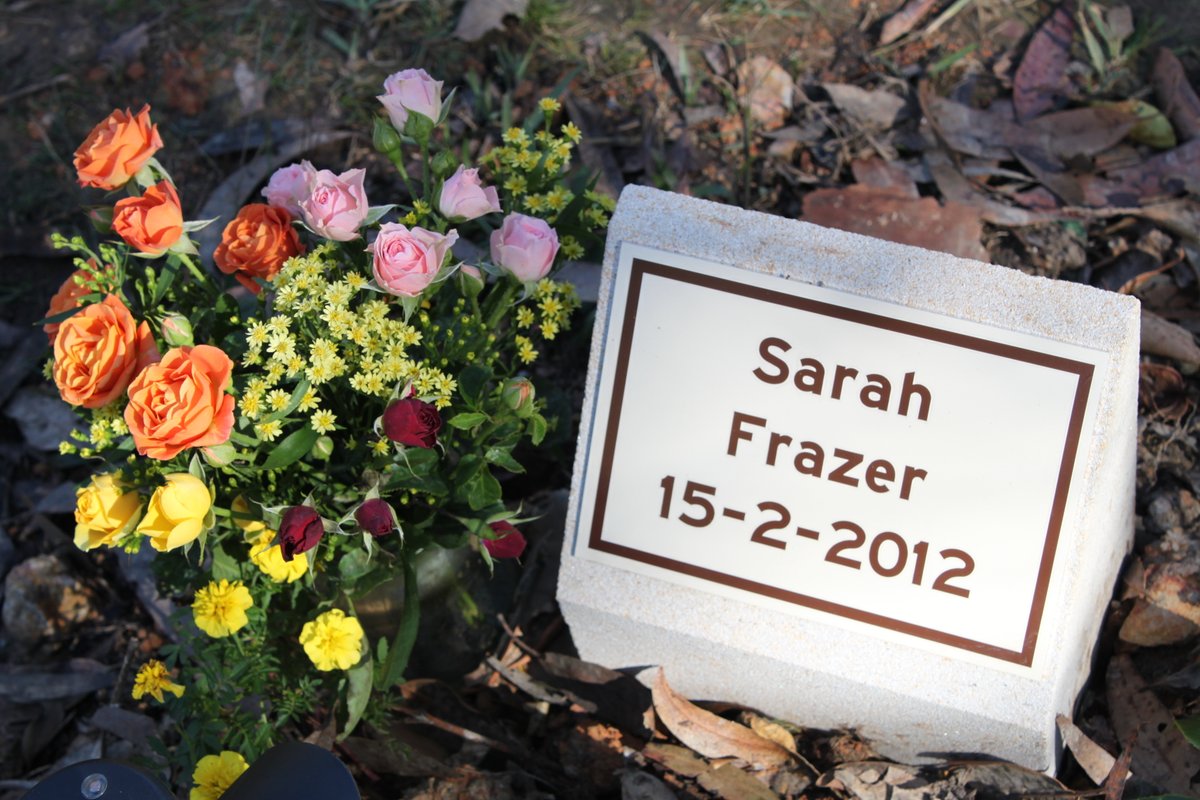 SarahGroup.Org tweet media