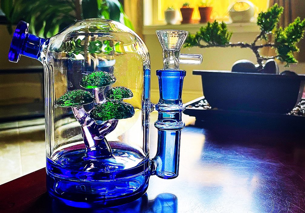 ElevatedStash's tweet photo. Calling all plant Moms/Dads! The “Bons-HIGH” rig is a must-have for any collection! 🌳💨

#StayElevated https://t.co/OgbPSIW8aB