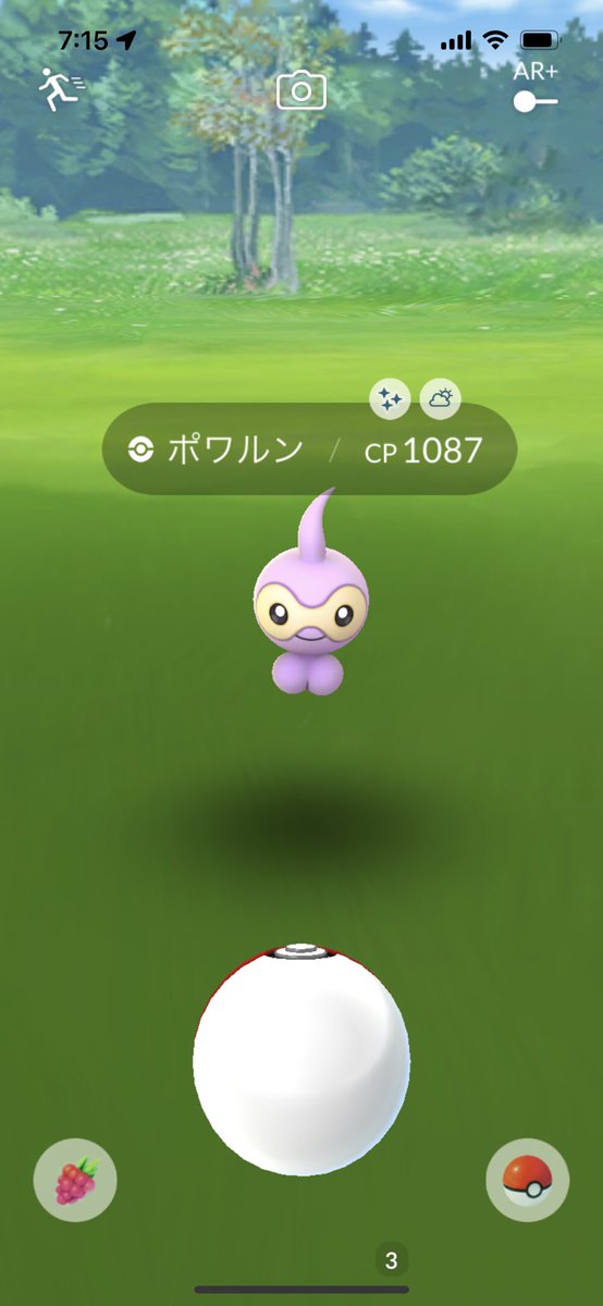 Cherry ポケモンgo 山形 Cherry Pokemon5 Twitter Cherry ポケモンgo 山形 Cherry Pokemon5 Twitter