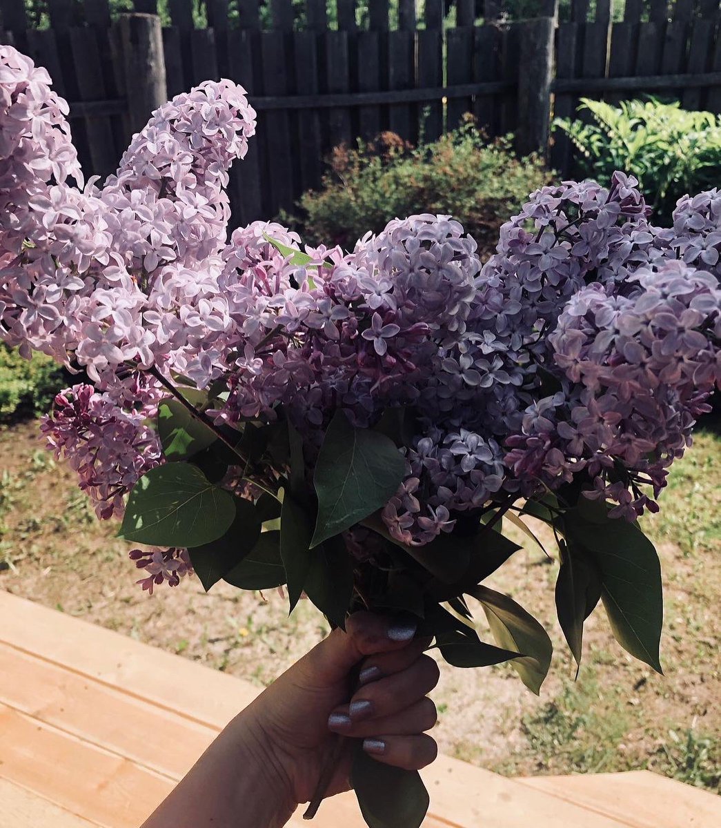 ChloeSimpson235's tweet photo. Always take the scenic route❤️
#ladyinviolet💜 
#alwaysbeyourself❤️ https://t.co/terRZ9lXh3