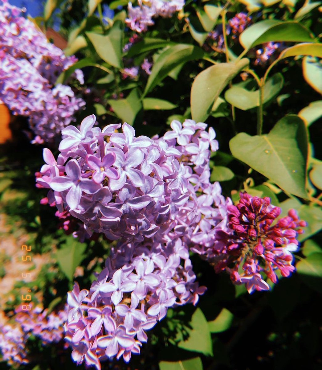 ChloeSimpson235's tweet photo. Always take the scenic route❤️
#ladyinviolet💜 
#alwaysbeyourself❤️ https://t.co/terRZ9lXh3