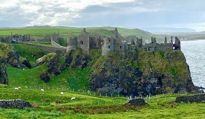 nadine foster 🇨🇦 tweet media