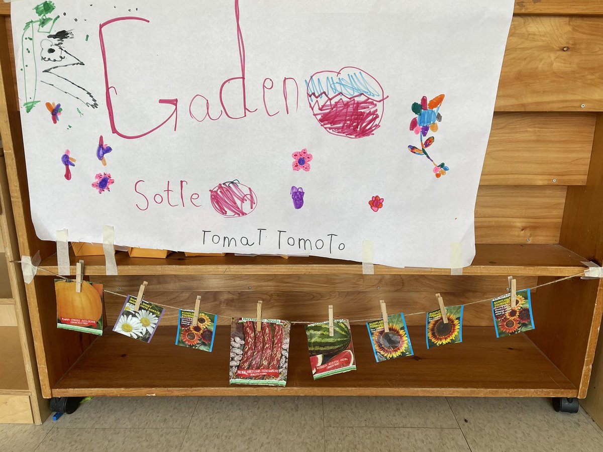 Miss Bowyer tweet media